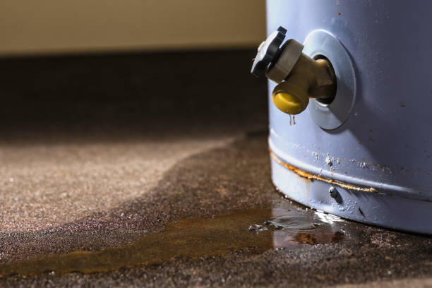 Trusted Naperville, IL Water damage restoration Experts