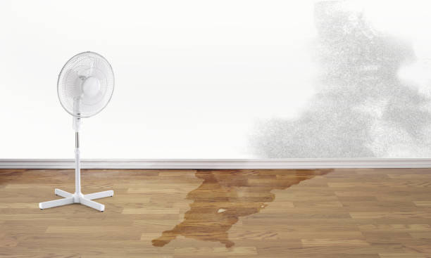 Trusted Naperville, IL Water damage restoration Experts