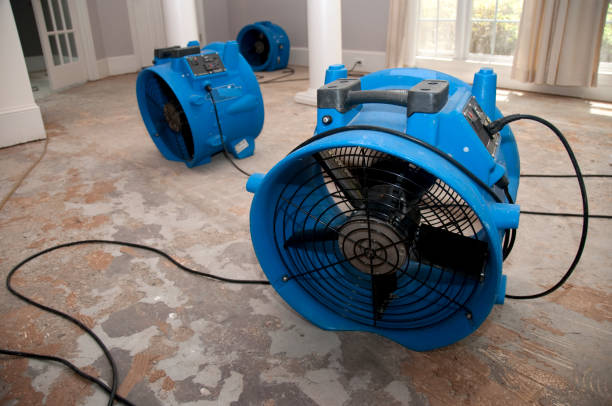 Best Commercial water damage restoration  in Napervle, IL