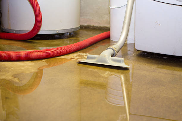 Best Basement water damage restoration  in Napervle, IL