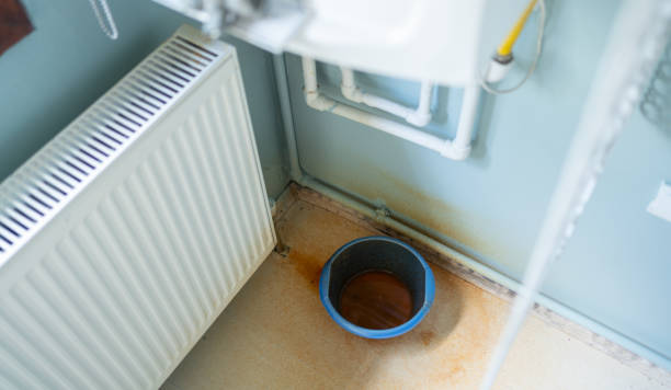 Best Water damage mitigation services  in Napervle, IL