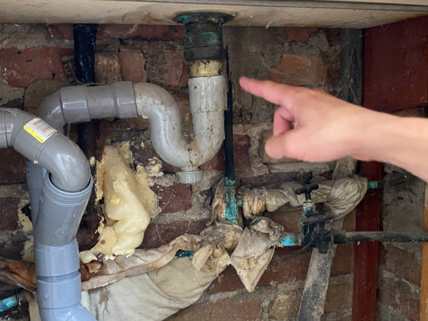 Best Water damage restoration near me  in Napervle, IL