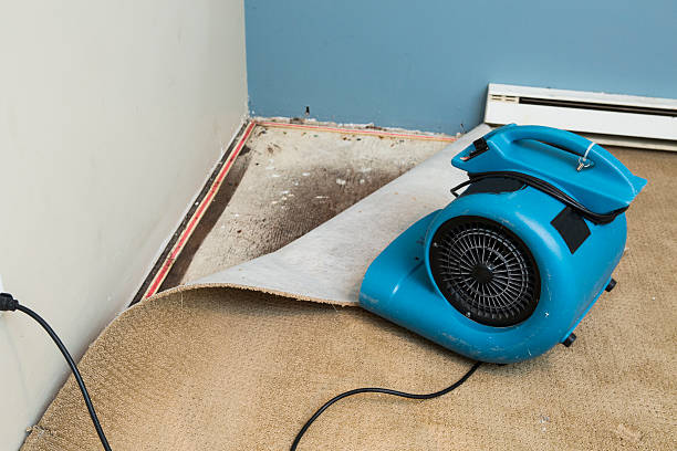 Best Residential water damage restoration  in Napervle, IL